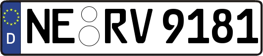 NE-RV9181