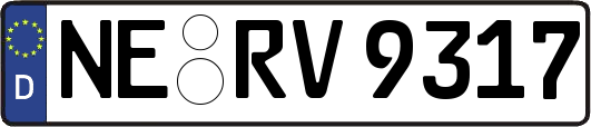 NE-RV9317