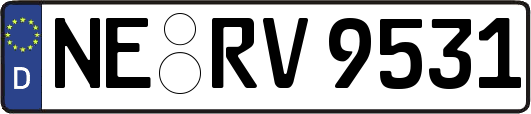 NE-RV9531