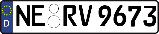 NE-RV9673