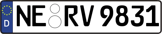 NE-RV9831