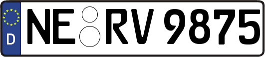 NE-RV9875