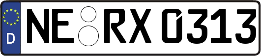 NE-RX0313
