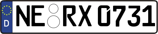 NE-RX0731