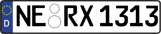 NE-RX1313