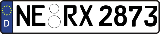 NE-RX2873