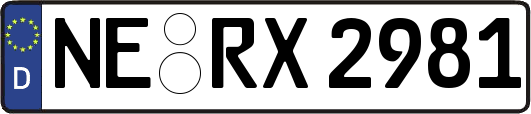 NE-RX2981