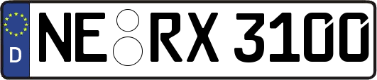 NE-RX3100
