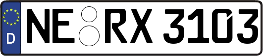 NE-RX3103