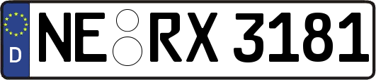 NE-RX3181