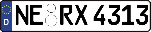 NE-RX4313
