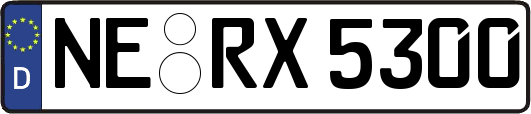 NE-RX5300