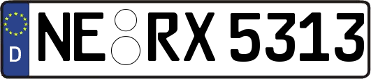 NE-RX5313