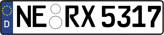 NE-RX5317