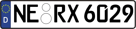 NE-RX6029
