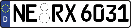 NE-RX6031