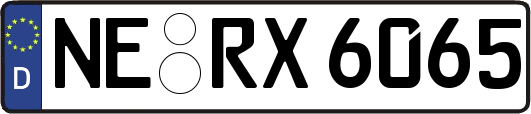 NE-RX6065