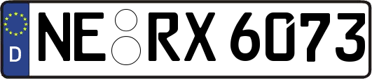 NE-RX6073