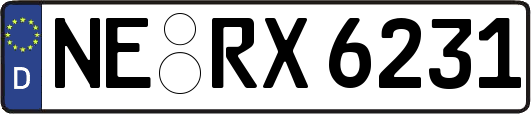 NE-RX6231