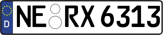 NE-RX6313