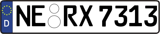 NE-RX7313