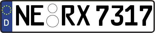 NE-RX7317