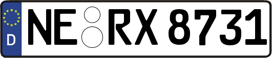 NE-RX8731