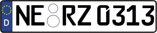 NE-RZ0313