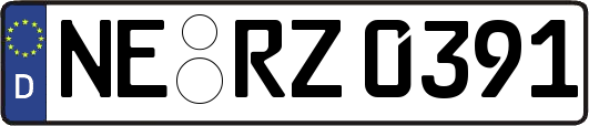 NE-RZ0391