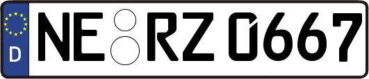 NE-RZ0667