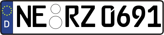 NE-RZ0691