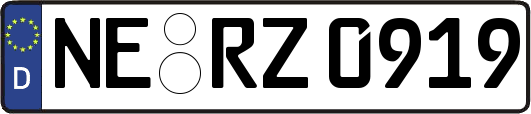 NE-RZ0919