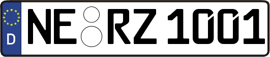 NE-RZ1001