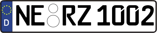 NE-RZ1002