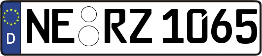 NE-RZ1065