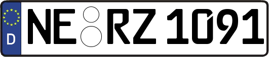 NE-RZ1091