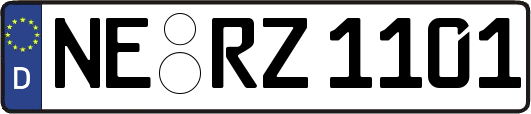 NE-RZ1101