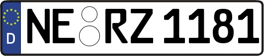 NE-RZ1181