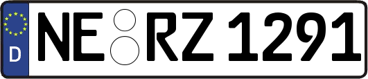 NE-RZ1291