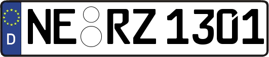 NE-RZ1301