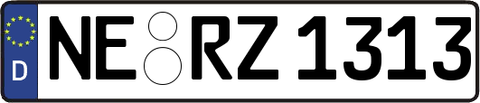 NE-RZ1313