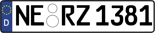 NE-RZ1381