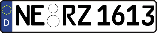 NE-RZ1613