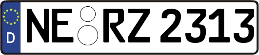 NE-RZ2313