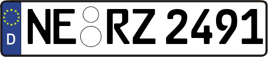 NE-RZ2491