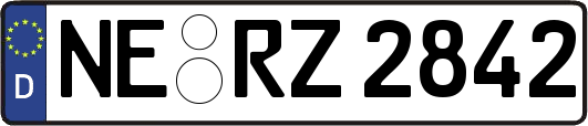 NE-RZ2842
