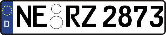 NE-RZ2873