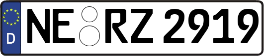 NE-RZ2919