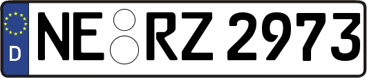 NE-RZ2973