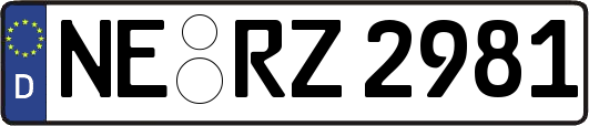 NE-RZ2981
